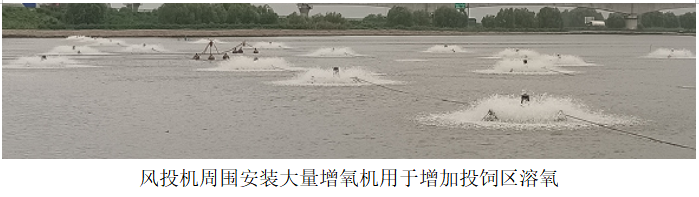 風投機周圍安裝大量增氧機用於增加投飼區(qū)溶氧(yǎng).png 風投機周圍安裝大量增氧機用於增加(jiā)投飼區溶氧.png