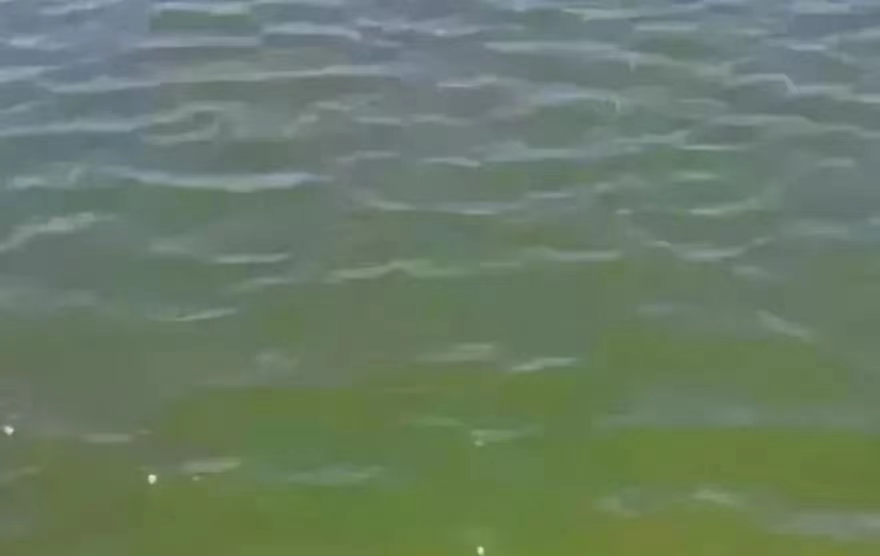 水1.jpg 水1.jpg
