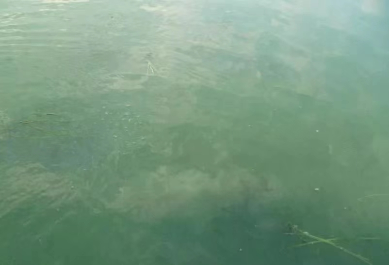 水2.jpg 水2.jpg