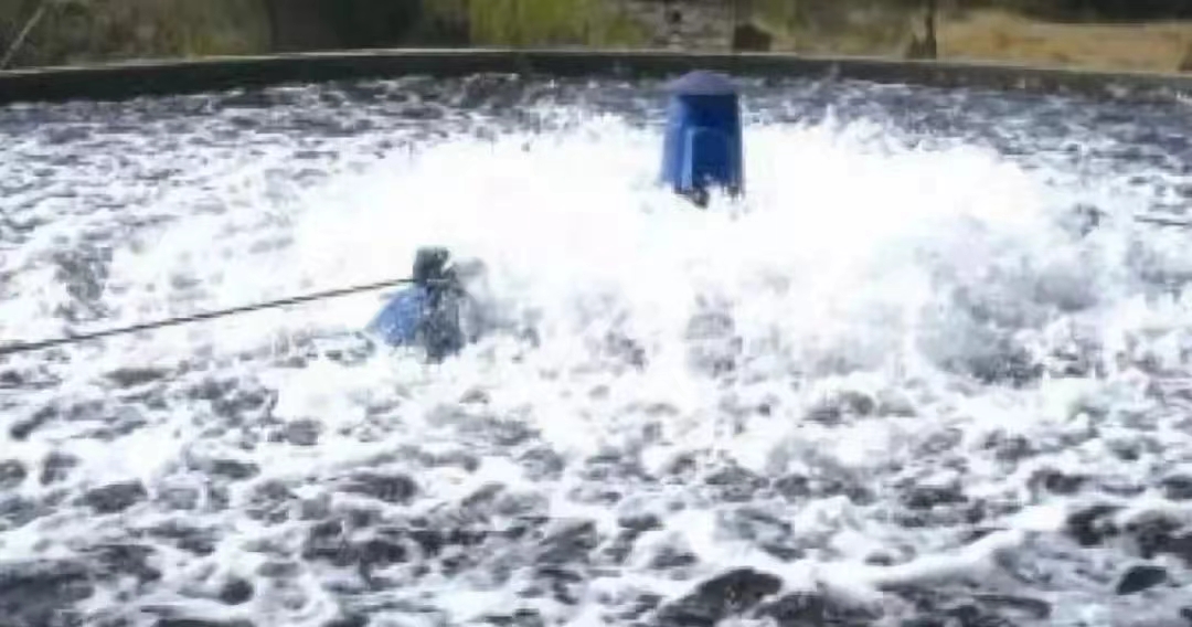 水3.jpg 水3.jpg