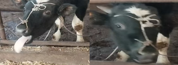 1.png 1.png